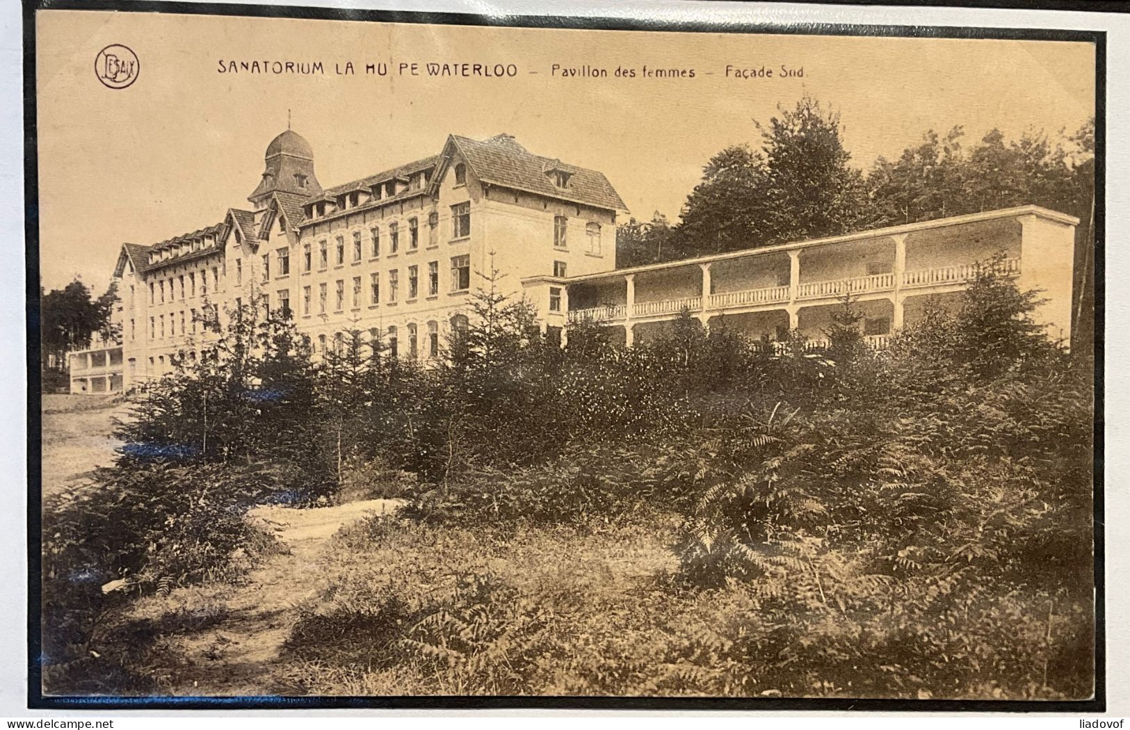 Verzameling SANATORIA : La Hulpe-Waterloo / Wenduine “Maritime-G. Born” / Westmalle “Lizzie-Marsily” + “J. Calasanz” - Verzamelingen & Kavels