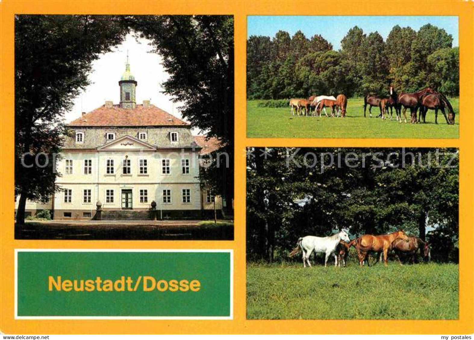 72846810 Neustadt Dosse Hauptgestuet Stuten Mit Fohlen Neustadt Dosse - Neustadt (Dosse)