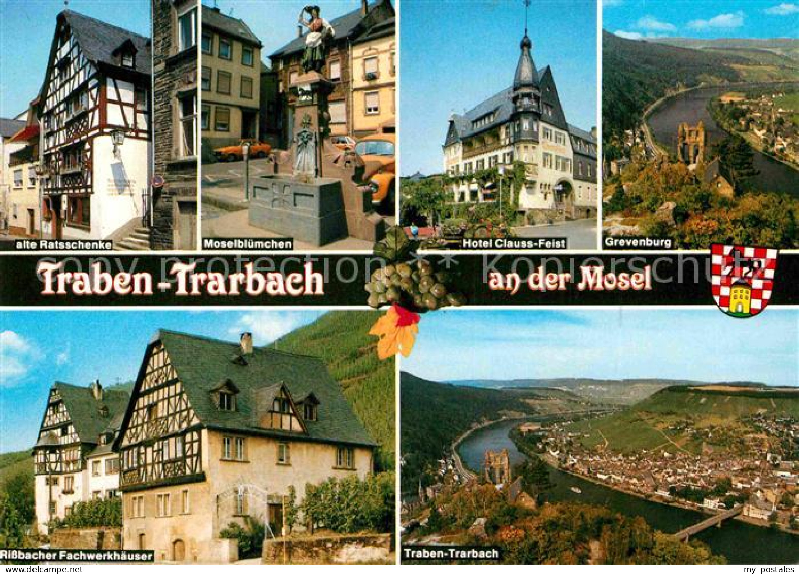 72846547 Traben-Trarbach Moselbluemchen Grevenburg  Traben-Trarbach - Traben-Trarbach
