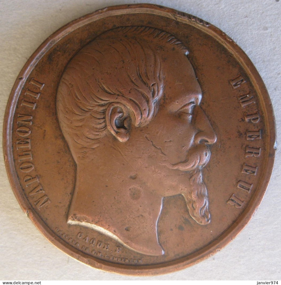 Médaille En Cuivre Concours Agricole Régional MARSEILLE 1861, Napoleon III, Par CAQUE - Adel