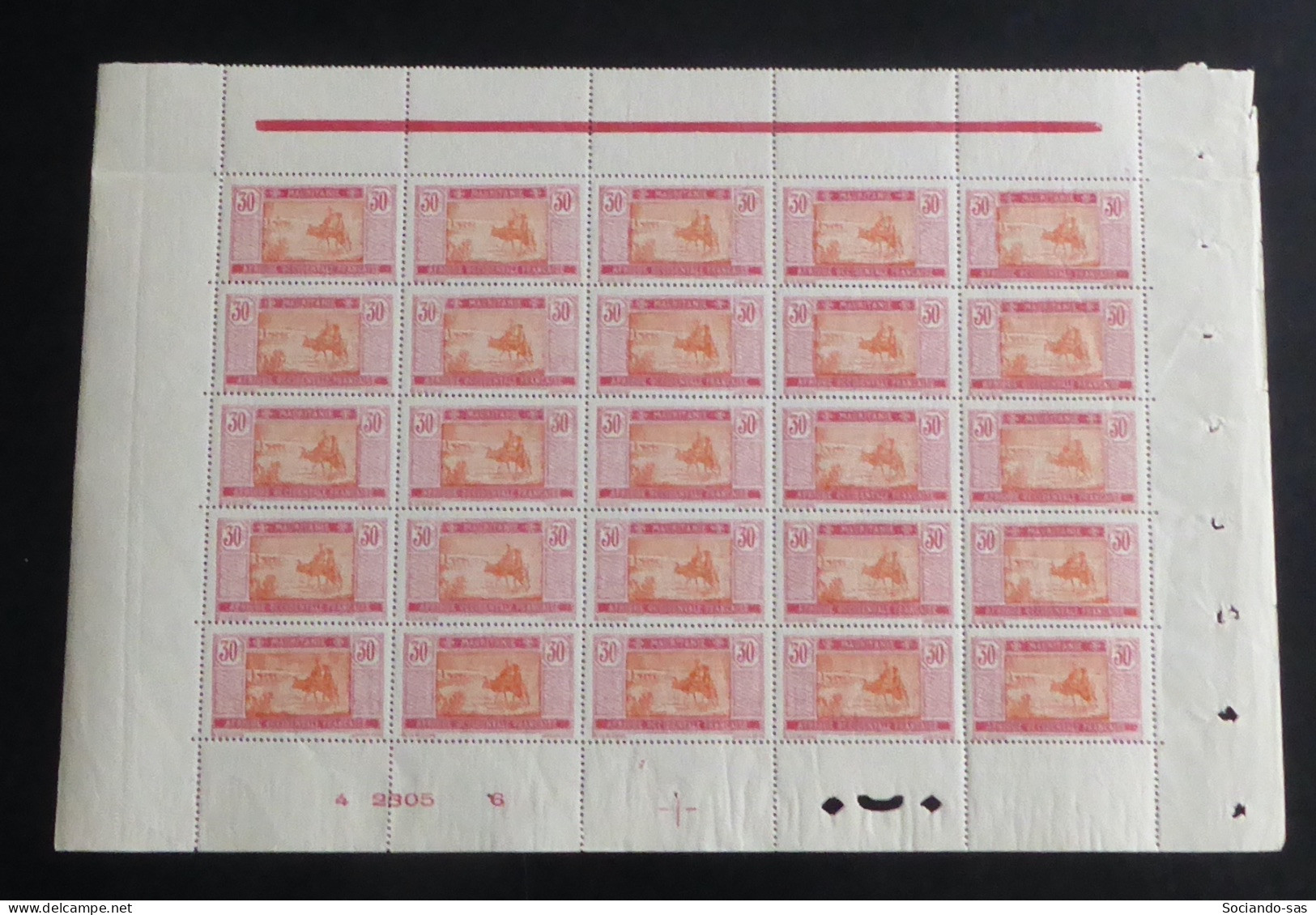 MAURITANIE - 1922-26 - N°YT. 43 - Nomades 30c Rose Et Orange - Bloc De 25 Bord De Feuille - Neuf Luxe** / MNH - Neufs