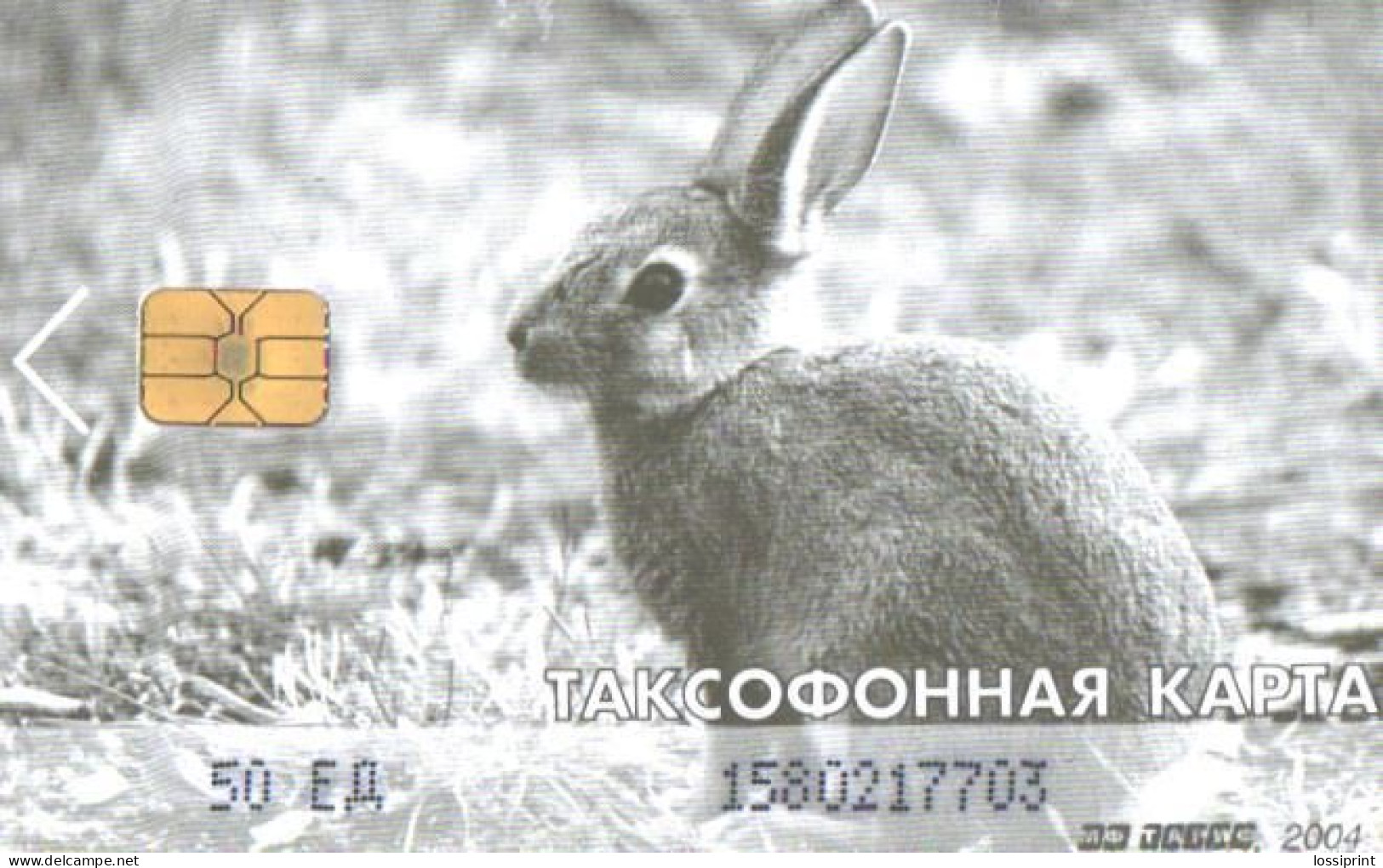 Russia:Used Phonecard, International Card, 50 Units, Rabbit, 2004 - Russia