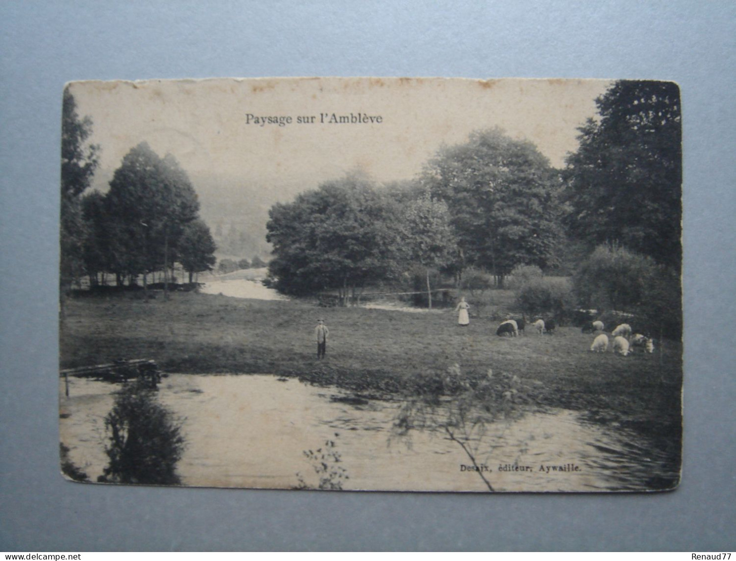 Paysage Sur L'Amblève - Ambleve - Amel