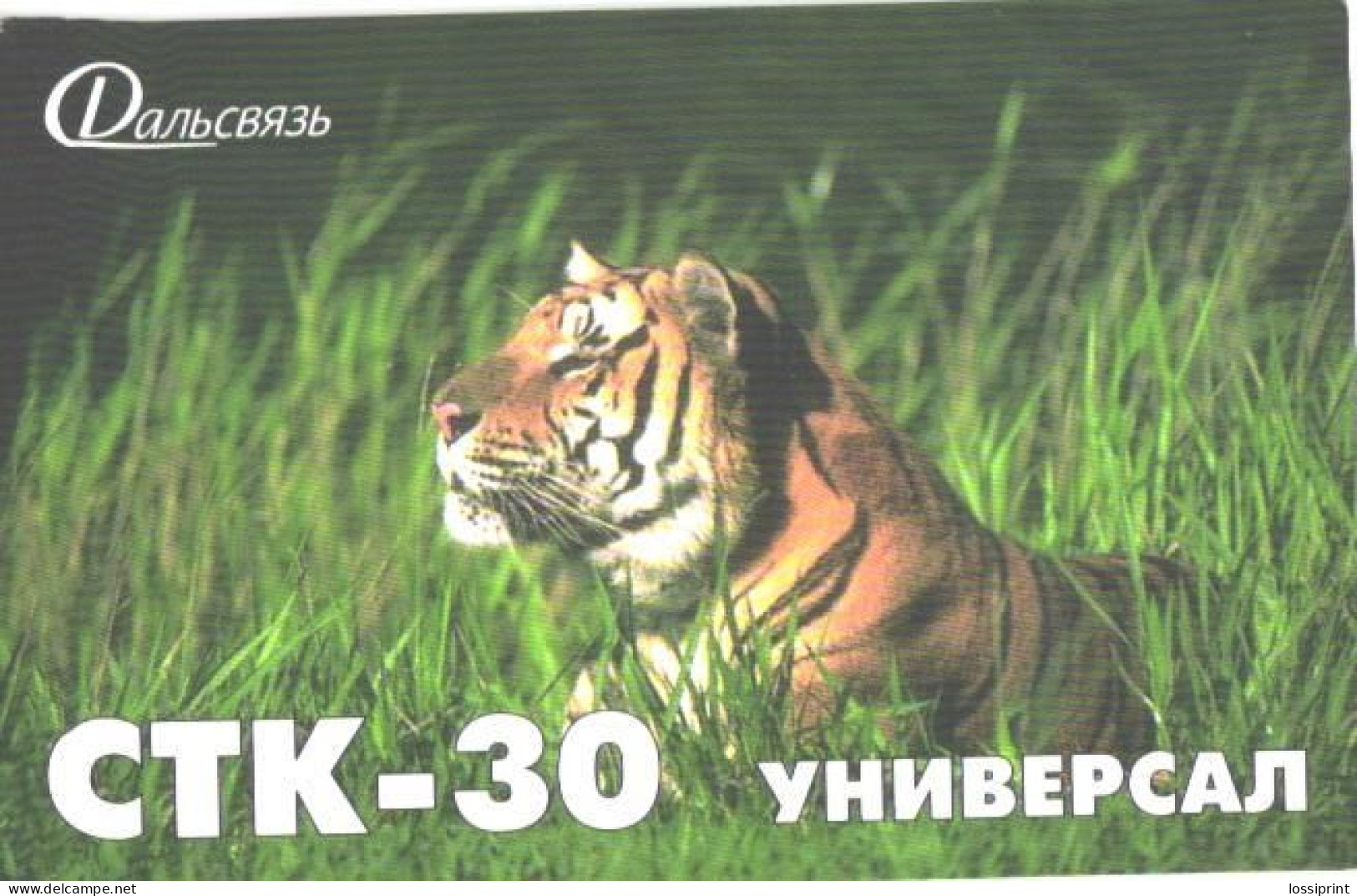 Russia:Used Phonecard, Dalsvjaz, STK-30, Tiger, A - Russia