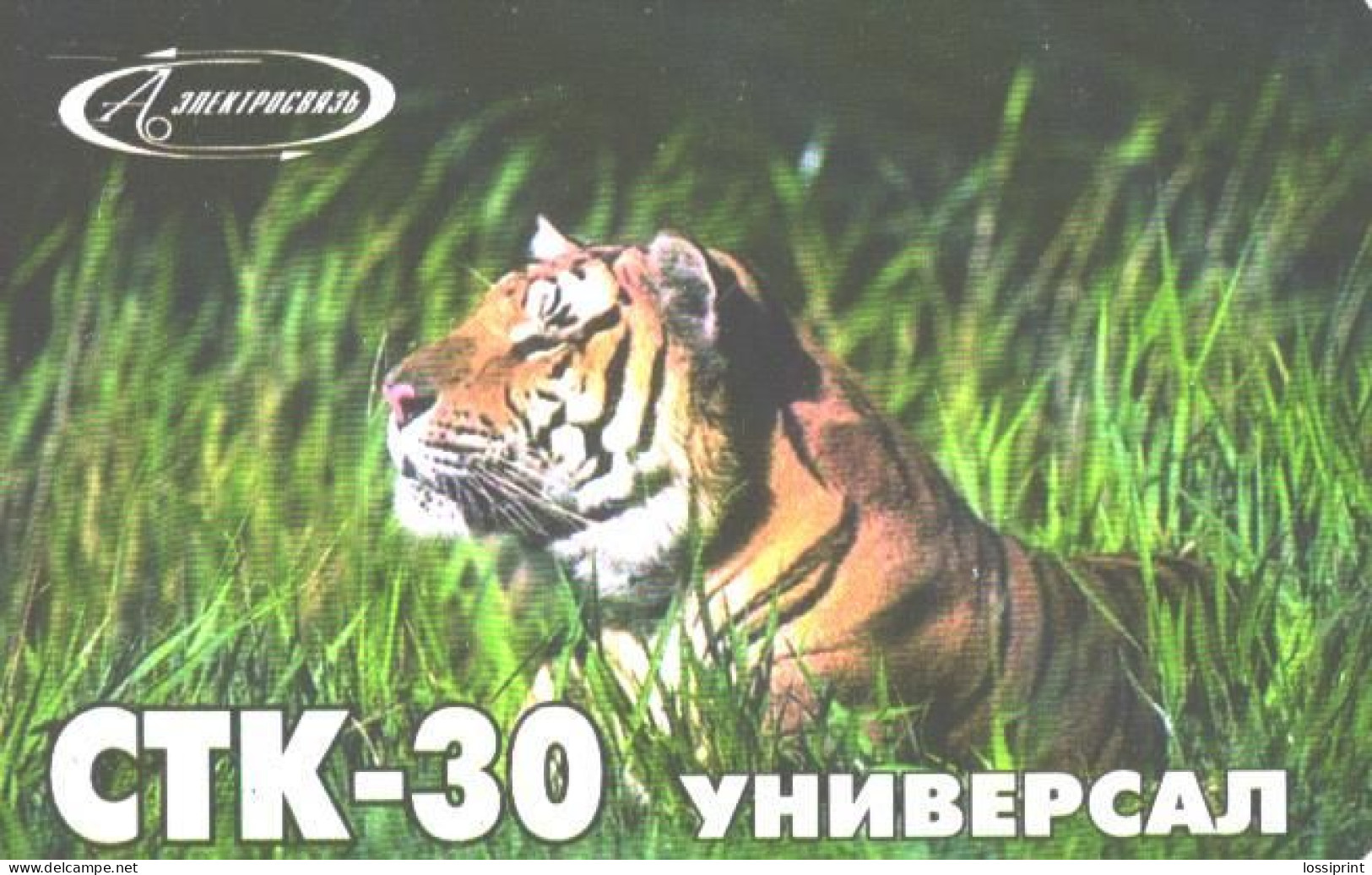 Russia:Used Phonecard, Azpektrosvjaz, STK-30, Tiger - Russia