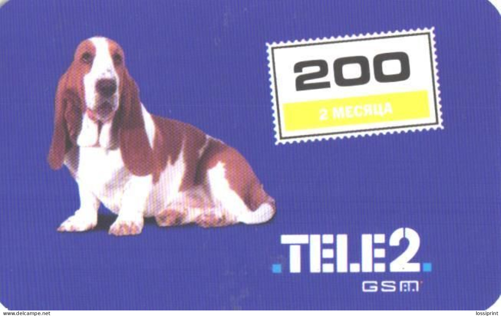 Russia:Used Phonecard, Tele2 GSM Irkutsk, 200 Units, Dog, 2005 - Russia