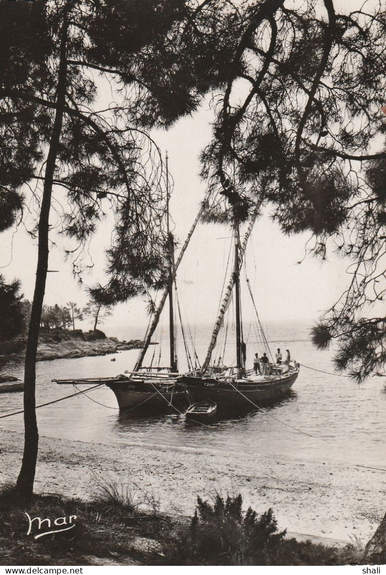 CPSM LA COTE D' AZUR TARTANES AU REPOS - Sailing