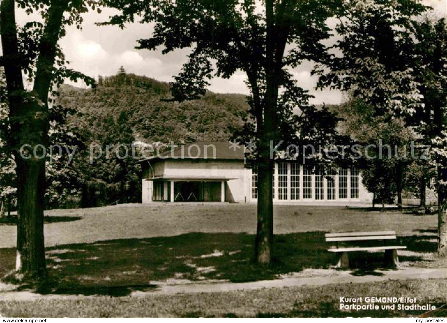 72844753 Gemuend Eifel Parkpartie Stadthalle Schleiden - Schleiden