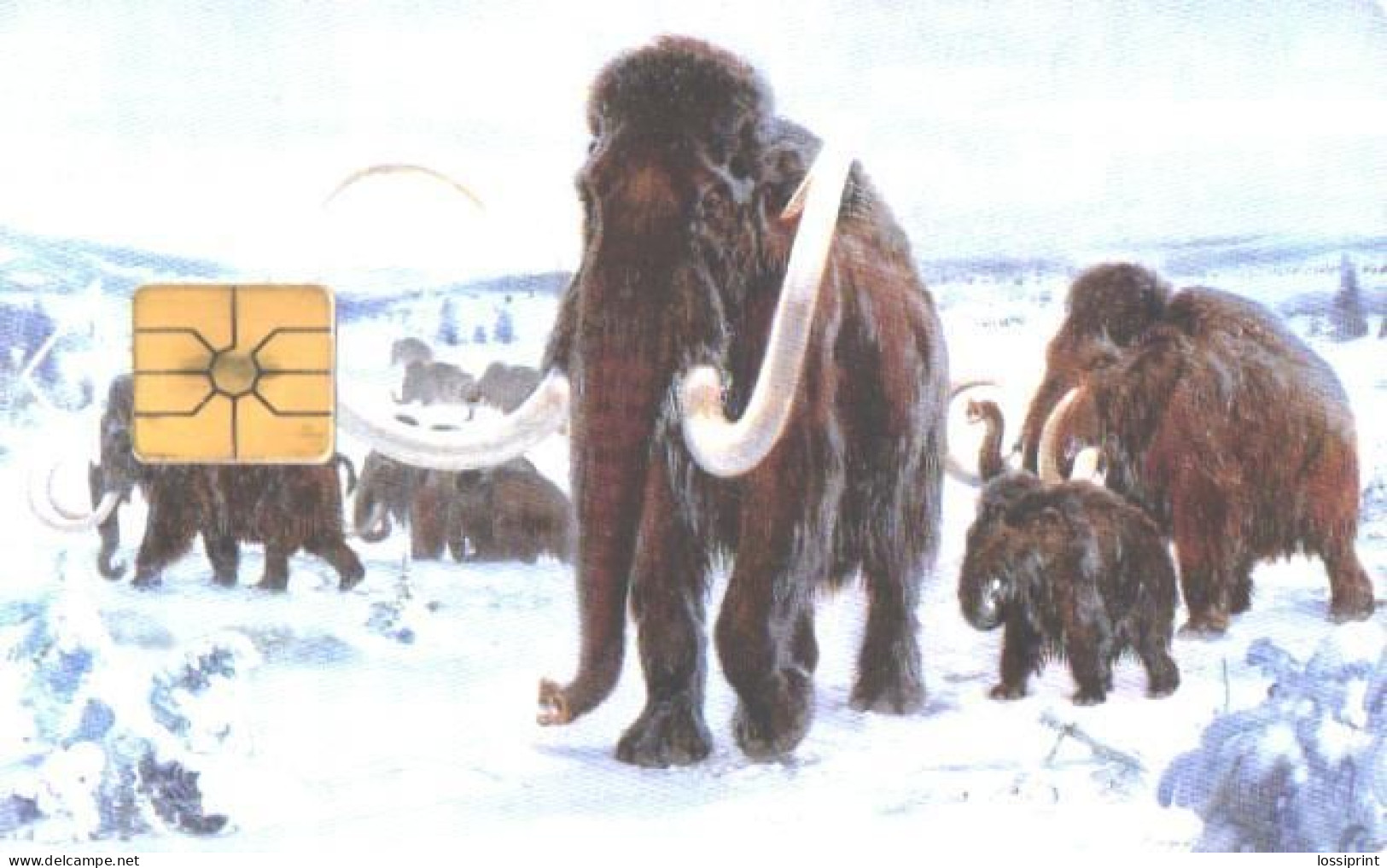 Czech:Used Phonecard, SPT Telecom, 100 Units, Mammoths, 1995 - Repubblica Ceca