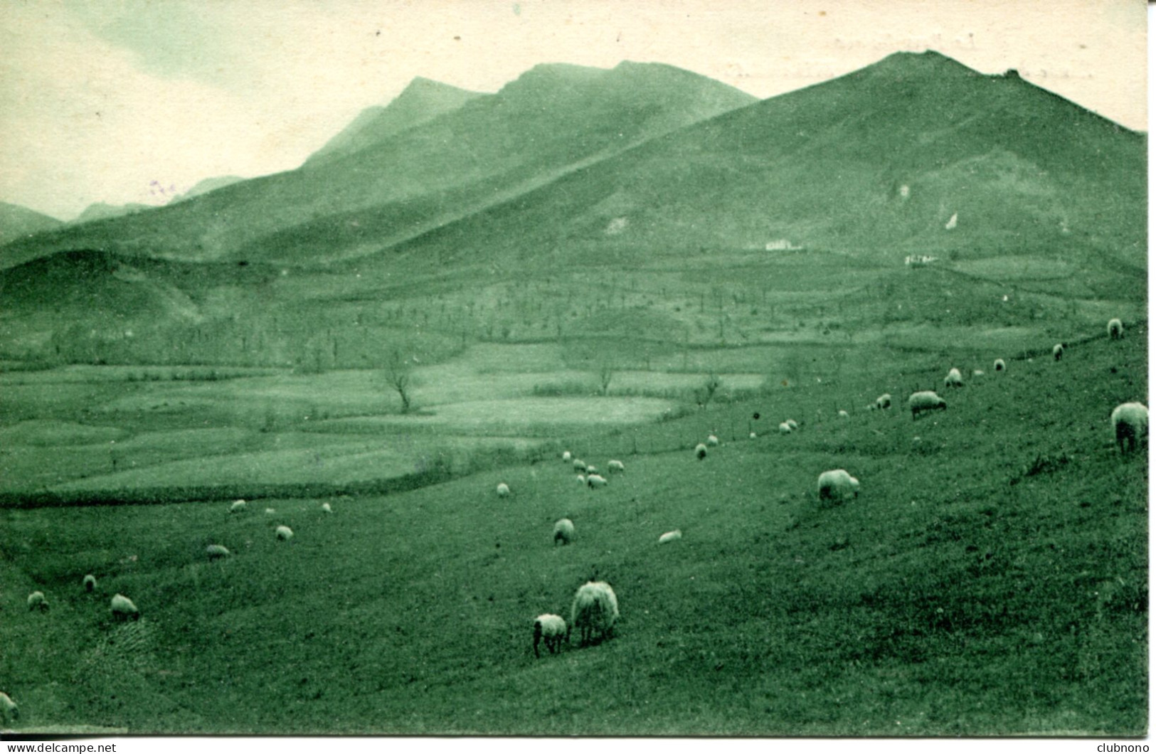 CPA -  BIDARRAY -  ETUDE DANS LA MONTAGNE - Bidarray