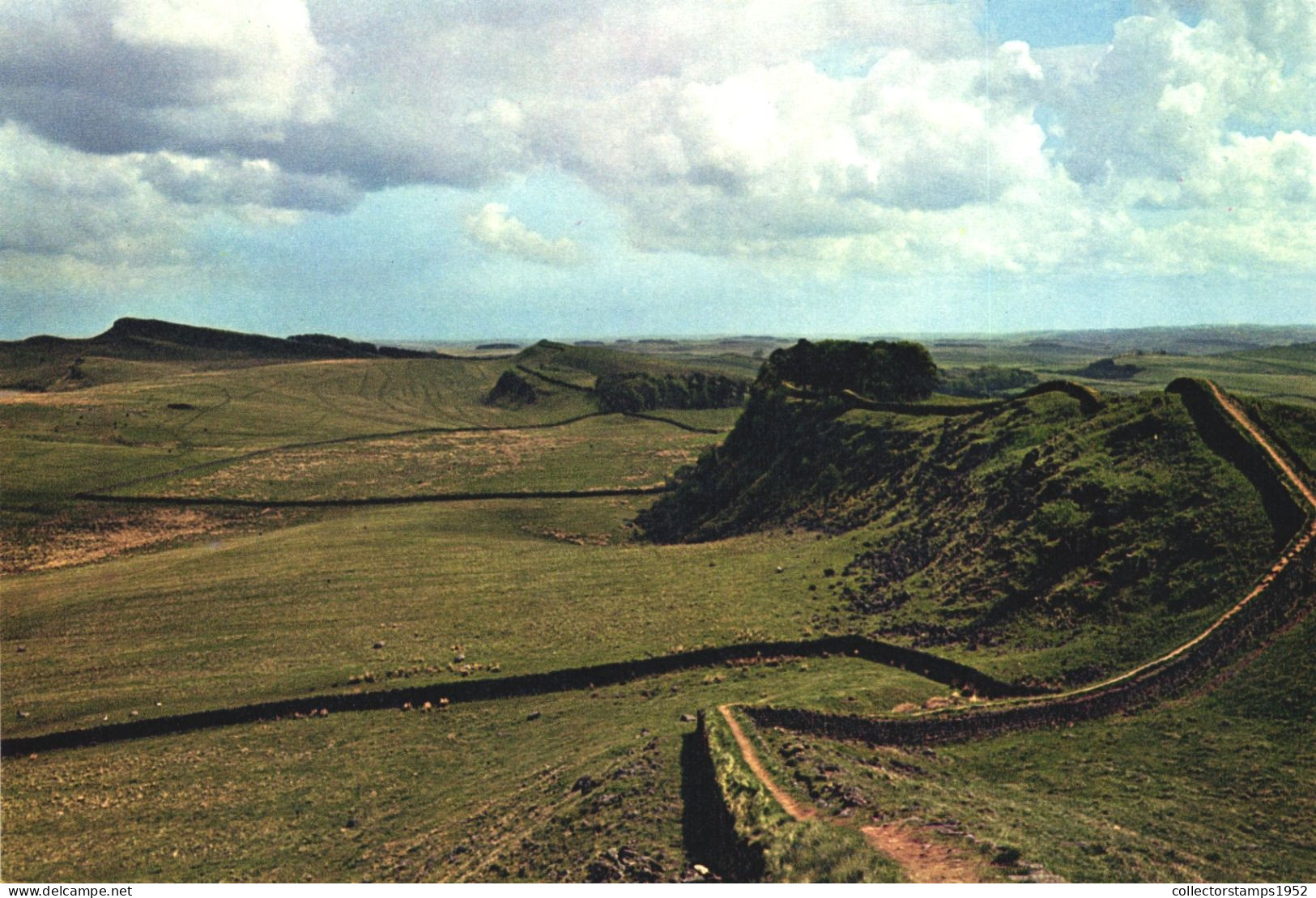 NORTHUMBERLAND, HEXHAM, HADRIAN'S WALL, ENGLAND, UNITED KINGDOM, POSTCARD - Sonstige & Ohne Zuordnung