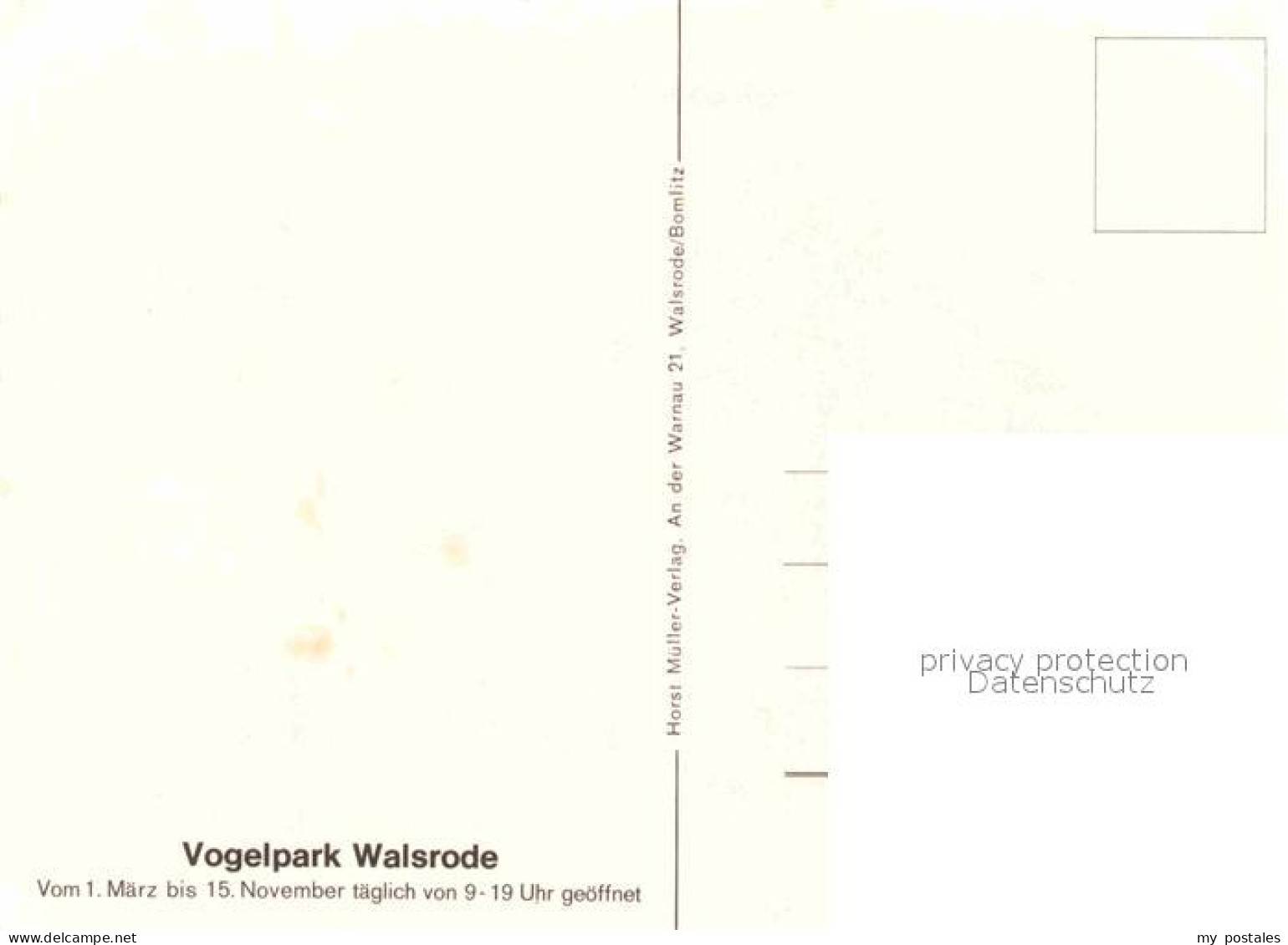72842803 Walsrode Lueneburger Heide Vogelpark Paradieshalle Walsrode - Walsrode
