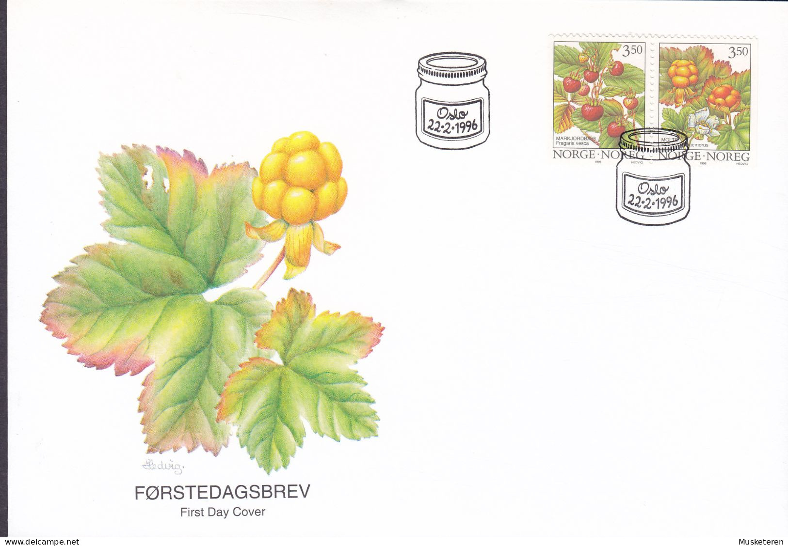 Norway 1996 FDC Cover Ersttags Brief Waldbeeren Walderdbeere Moltebeere Berries (Pair, Paare) Complete Set !! - FDC