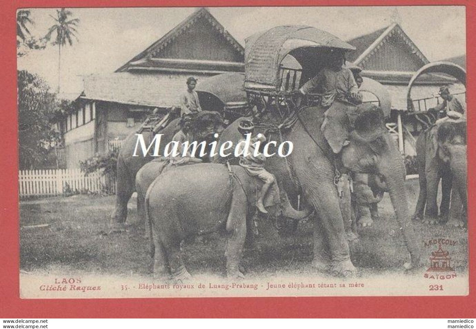 19011 LAOS. Eléphants Royaux De Luang-Prabang Jeune éléphant Tétant Sa Mère 2 SCANS - Asien