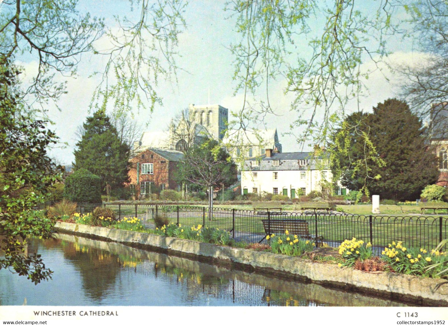 WINCHESTER, HAMPSHIRE, CATHEDRAL, ARCHITECTURE, PARK, ENGLAND, UNITED KINGDOM, POSTCARD - Winchester