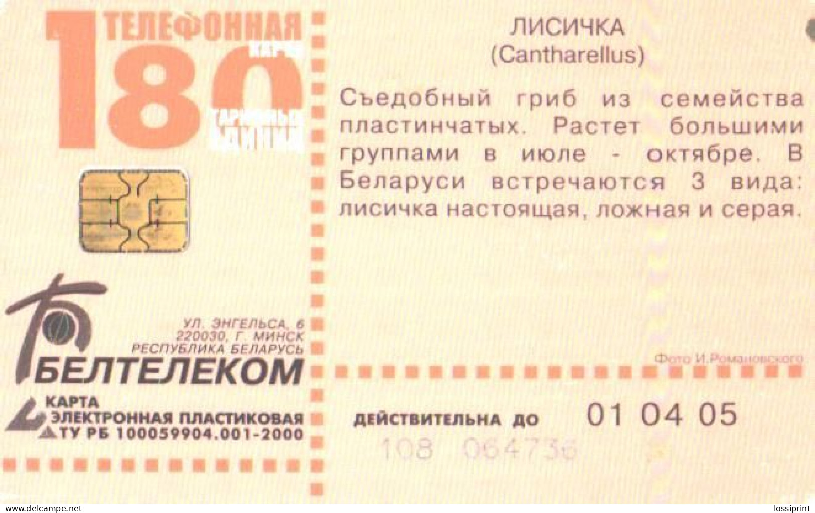 Belarus:Used Phonecard, Beltelekom, 180 Units, Mushroom, 2005 - Belarus