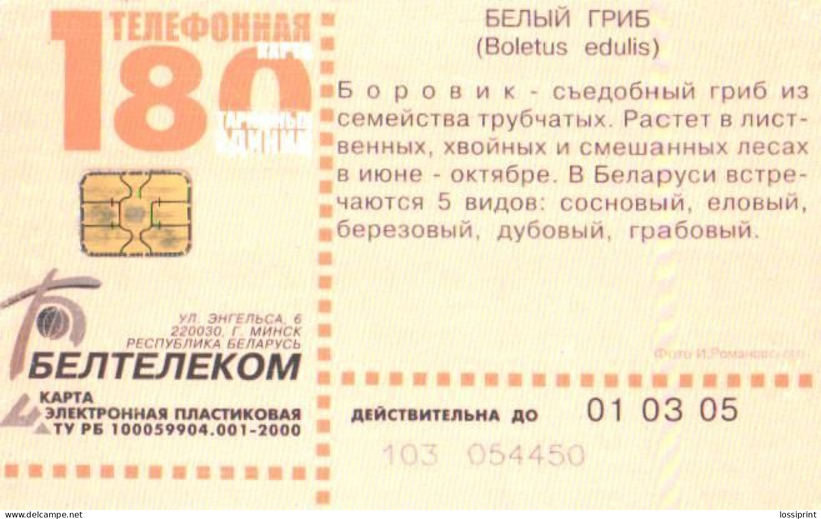 Belarus:Used Phonecard, Beltelekom, 180 Units, Mushroom, Boletus Edulis, 2005 - Belarús