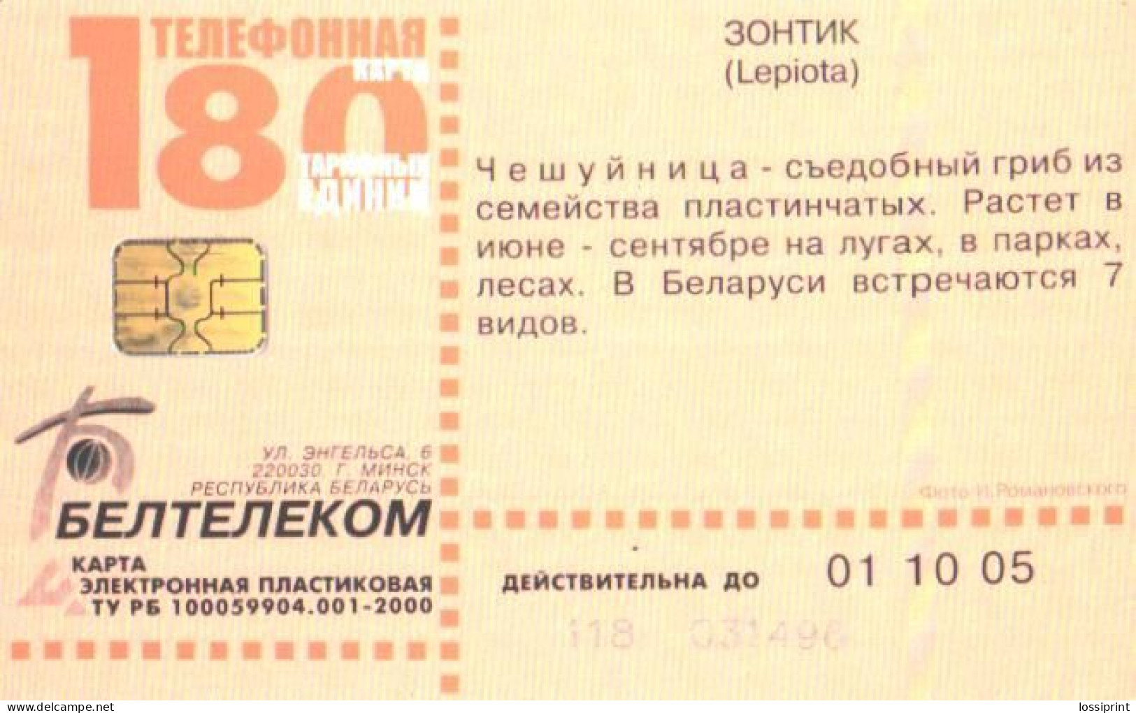 Belarus:Used Phonecard, Beltelekom, 180 Units, Mushroom, Lepiota, 2005 - Belarus