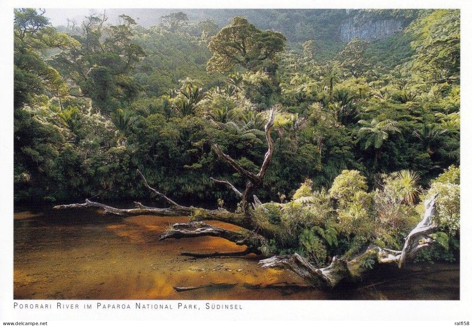 1 AK Neuseeland * Der Pororari River Im Paparoa-Nationalpark Auf Der Südinsel * - Nouvelle-Zélande