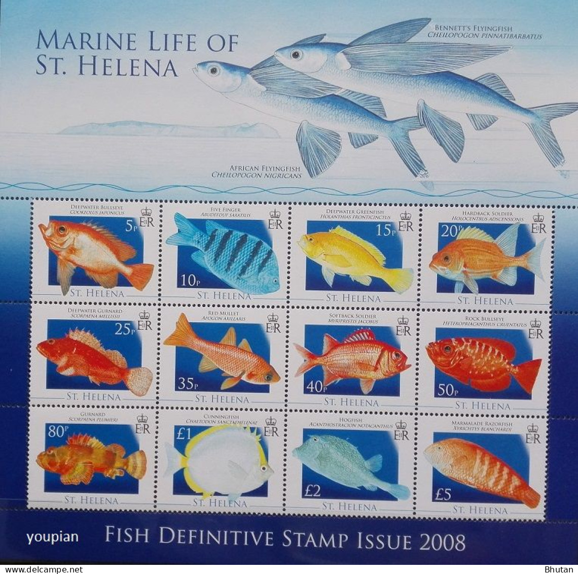 St. Helena 2008, Marine Life Of St. Helena - Fish, MNH Sheetlet - Saint Helena Island