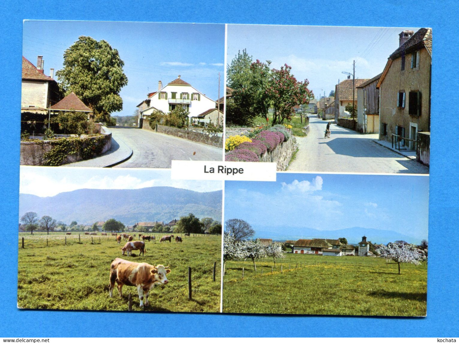 R033, La Rippe Près De Nyon ,Bovey & Cie,  Circulée Sous Enveloppe - La Rippe