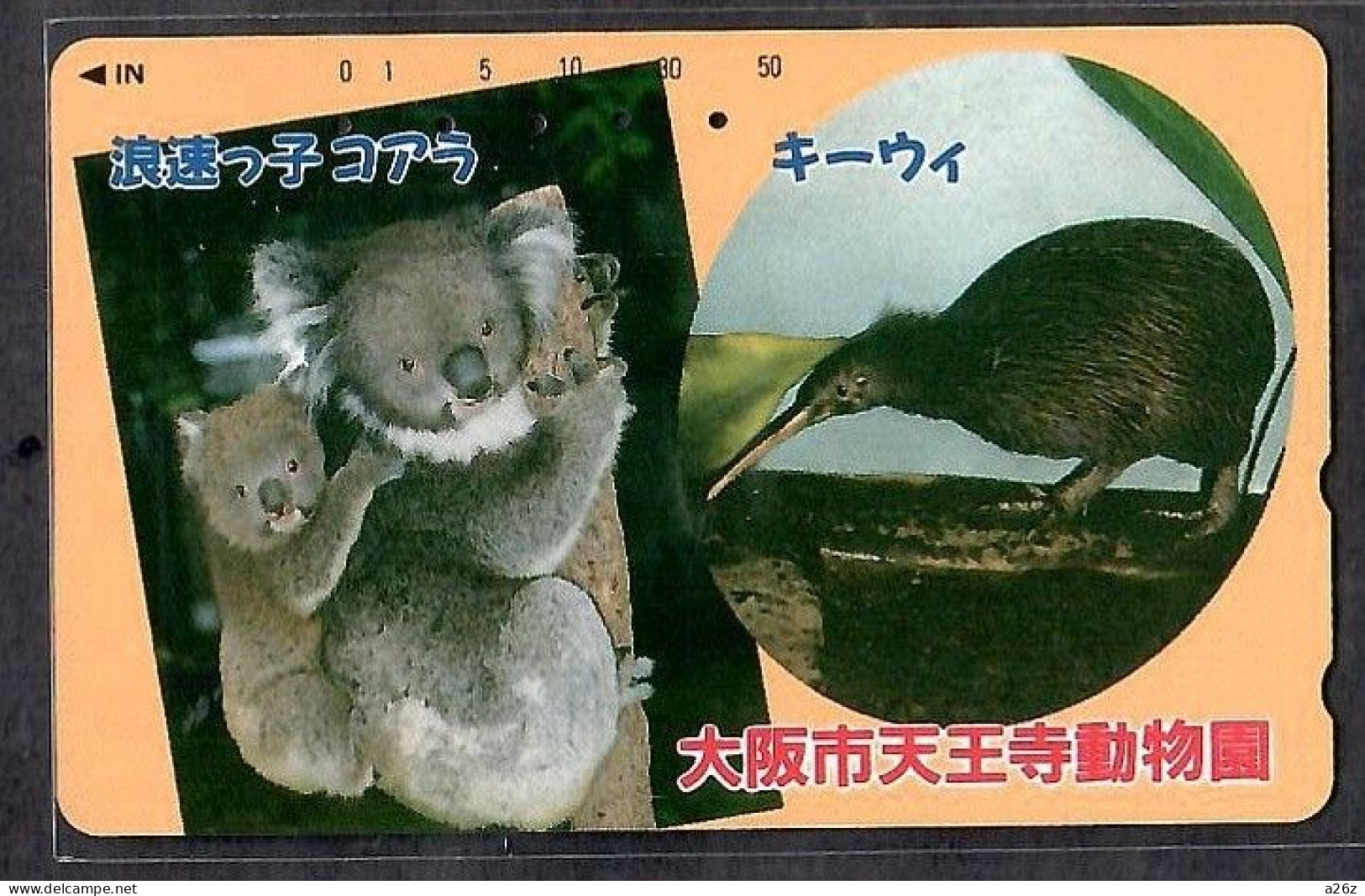 Japan 1V Koala Osaka Tennoji Zoo Used Card - Giungla