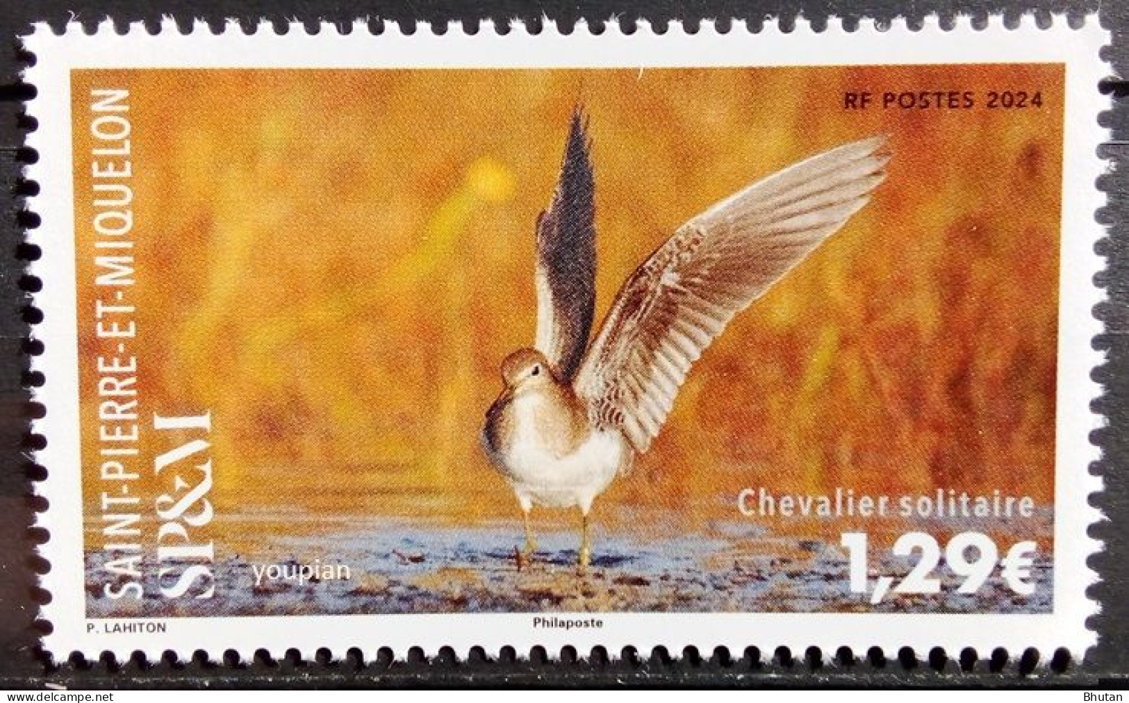 St. Pierre And Miquelon 2024, Bird Chevalier Solitaire, MNH Single Stamp - Neufs