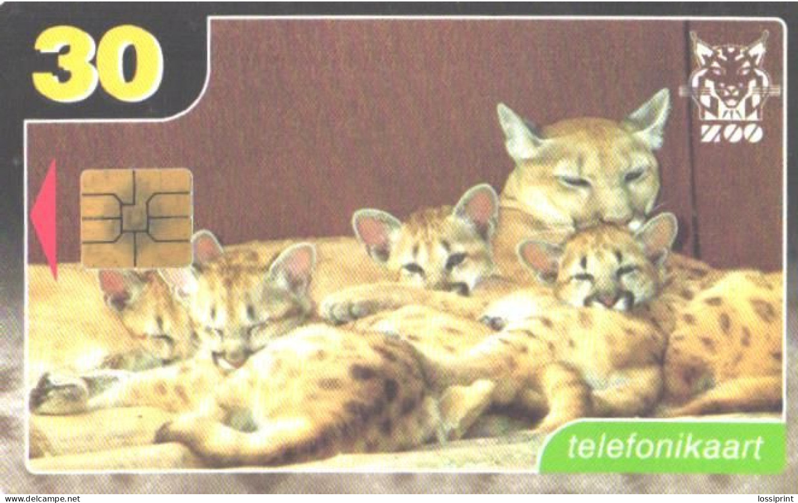 Estonia:Used Phonecard, Eesti Telefon, 30 EEK, Puma, Puma Concolor, 1999 - Otros & Sin Clasificación