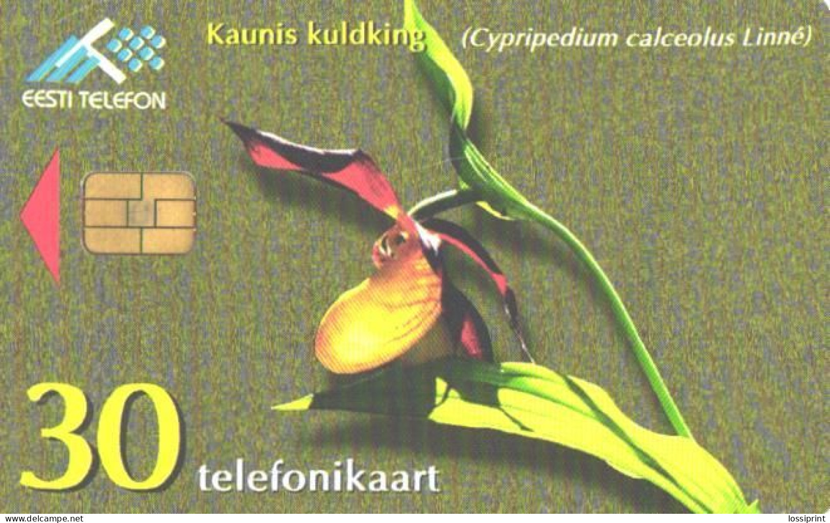 Estonia:Used Phonecard, Eesti Telefon, 30 EEK, Flower, Cypripedium Calceolus Linne, 1998 - Altri & Non Classificati