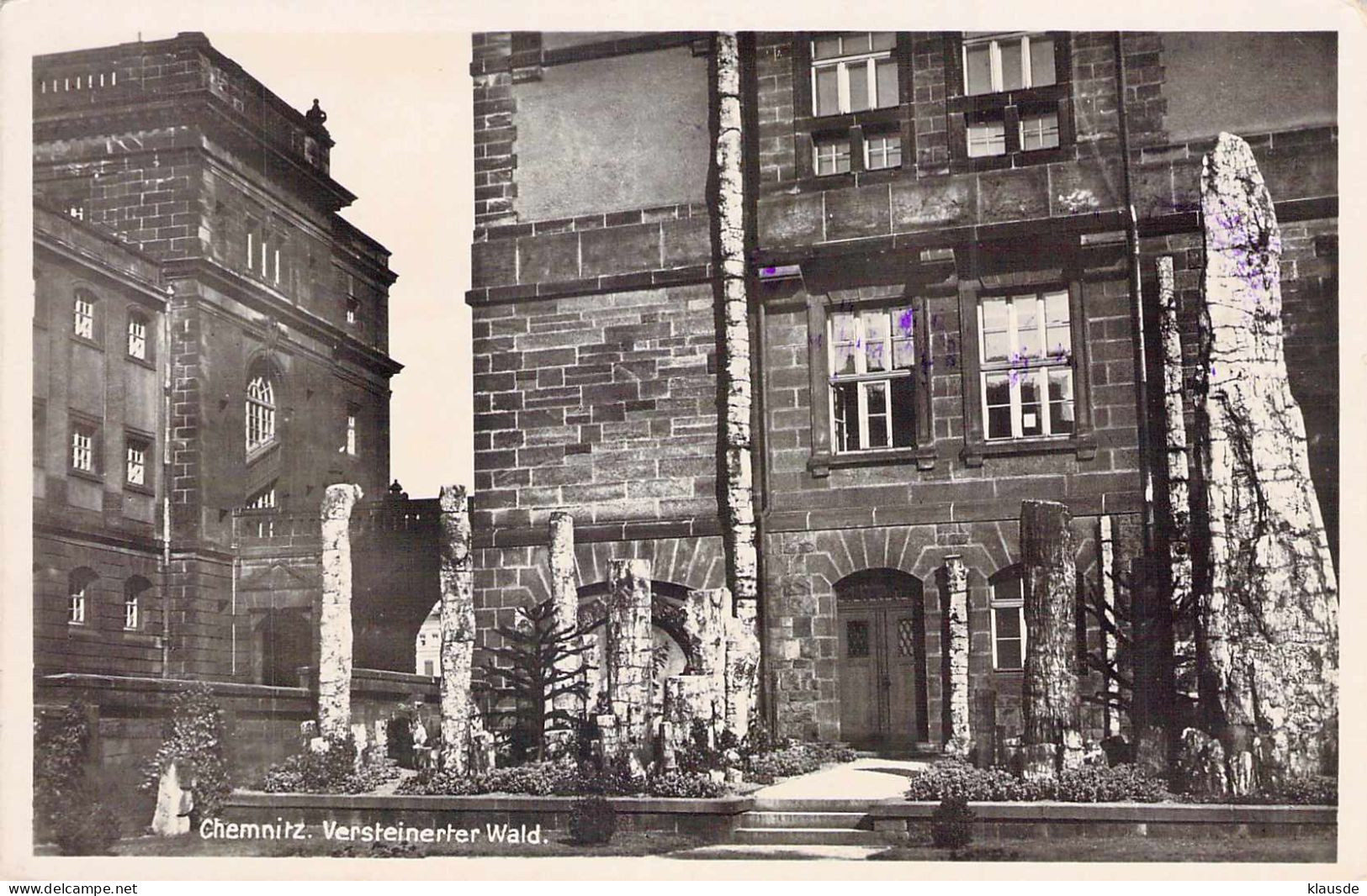 Chemnitz - Städtisches Museum Versteinerter Wald Gel.1936 - Chemnitz (Karl-Marx-Stadt 1953-1990)