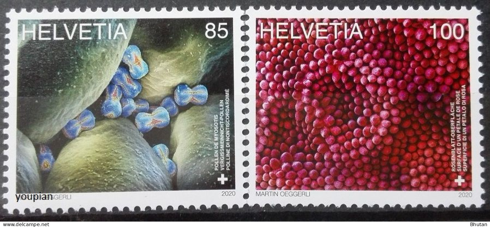 Switzerland 2020, Microscopic Art, MNH Stamps Set - Unused Stamps