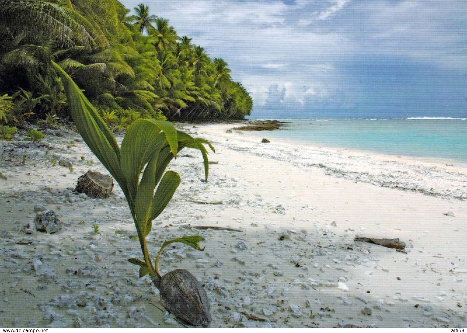 1 AK American Samoa * Ansicht Der Insel Swains - Ein Atoll Im Südpazifik - Es Gehört Zu Amerikanisch Samoa * - Amerikanisch Samoa