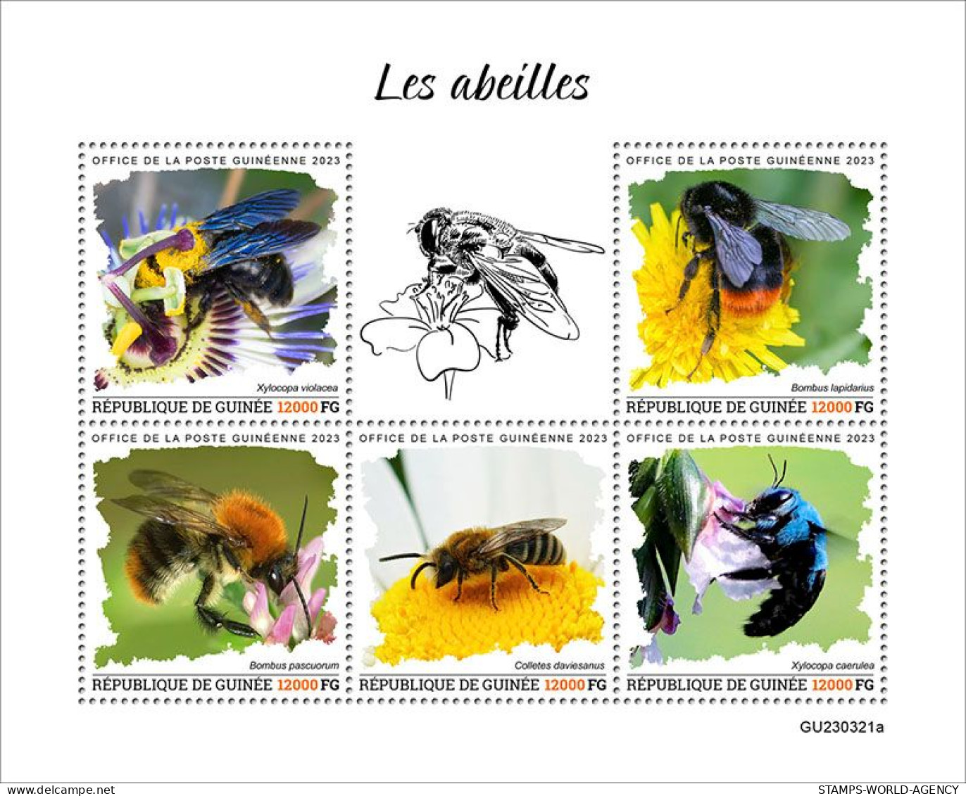 2024-02 - GUINEA- BEES               5V  MNH** - Abeilles