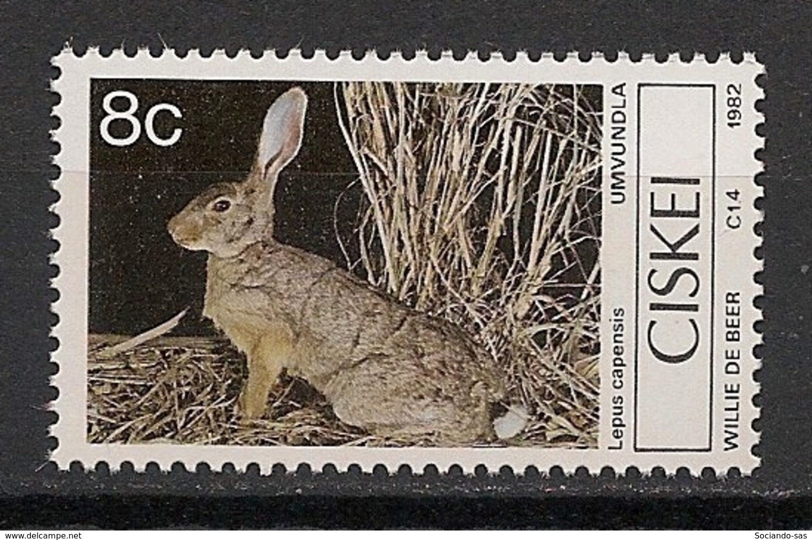 CISKEI - 1982 - N°YT. 30 - Lapin / Rabbit - Neuf Luxe ** / MNH / Postfrisch - Lapins