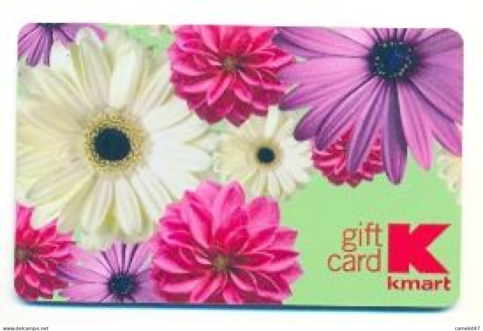 KMart U.S.A., Carte Cadeau Pour Collection, Sans Valeur, # Kmart-7 - Gift And Loyalty Cards