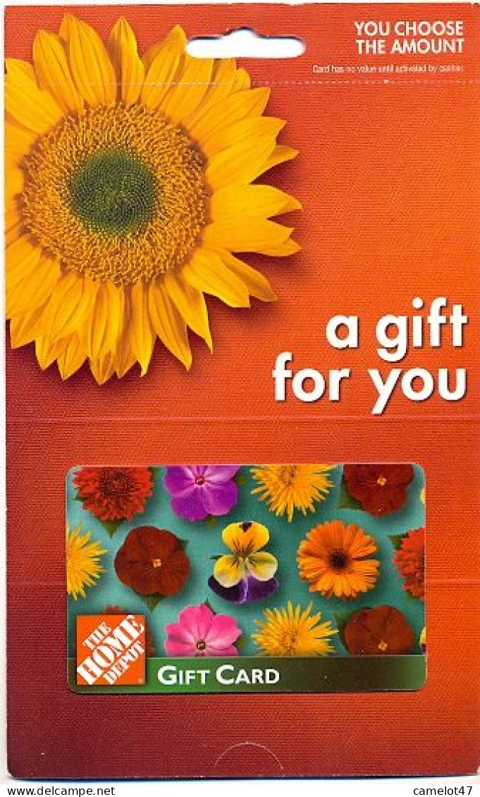 The Home Depot  U.S.A., Carte Cadeau Pour Collection, Sans Valeur, # Homedepot-14a - Gift And Loyalty Cards