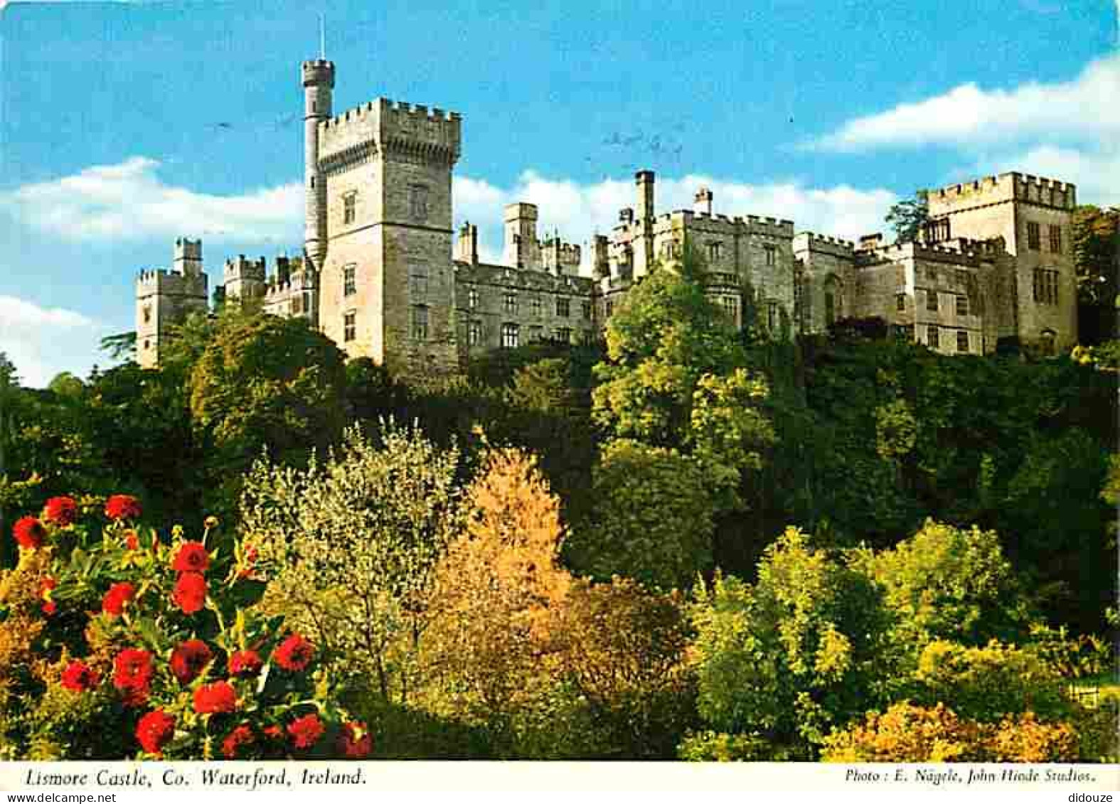 Irlande - Waterford - Lismore Castle - Ireland - CPM - Voir Scans Recto-Verso - Waterford
