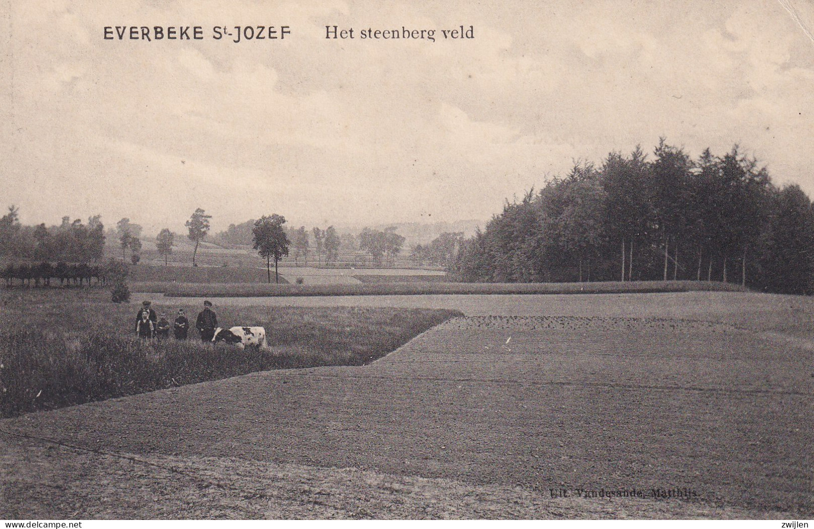 EVERBEEK EVERBECQ EVERBEKE BRAKEL SINT JOZEF HET STEENBERG VELD - Brakel