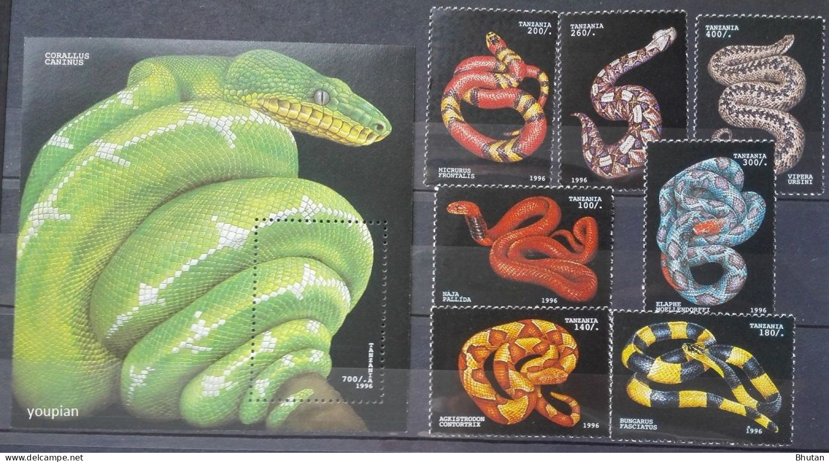 Tanzania 1996, Snakes, MNH S/S And Stamps Set - Tansania (1964-...)