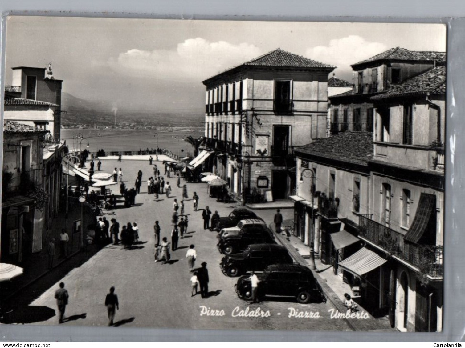 CARTOLINA  PIZZO CALABRO PIAZZA UMBERTO ANIMATA - Vibo Valentia