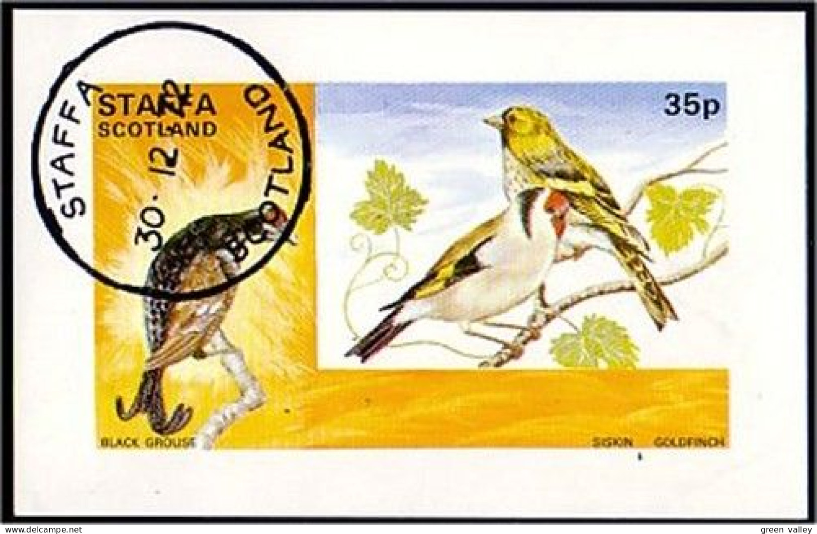 Staffa Scotland Goldfinch (A51-240c) - Sparrows