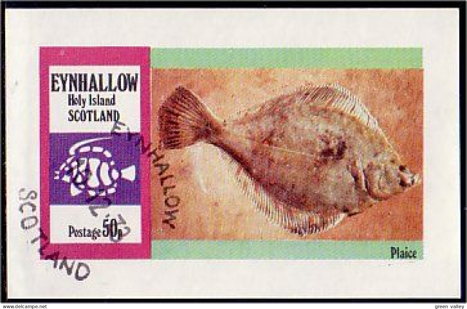 Eynhallow Scotland Plaice Plie (A51-245b) - Local Issues