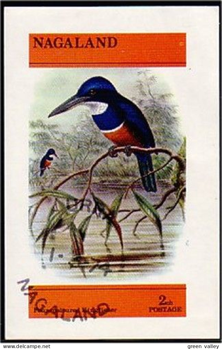 Nagaland Martin Pêcheur Kingfisher (A51-238c) - Emisiones Locales