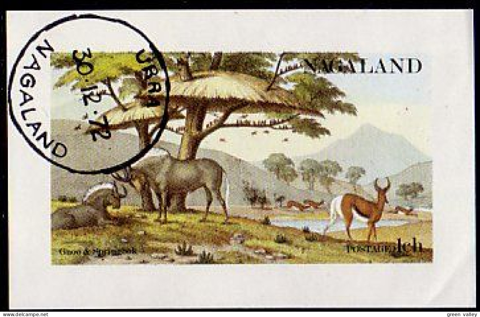 Nagaland Antelopes (A51-237b) - Lokale Uitgaven