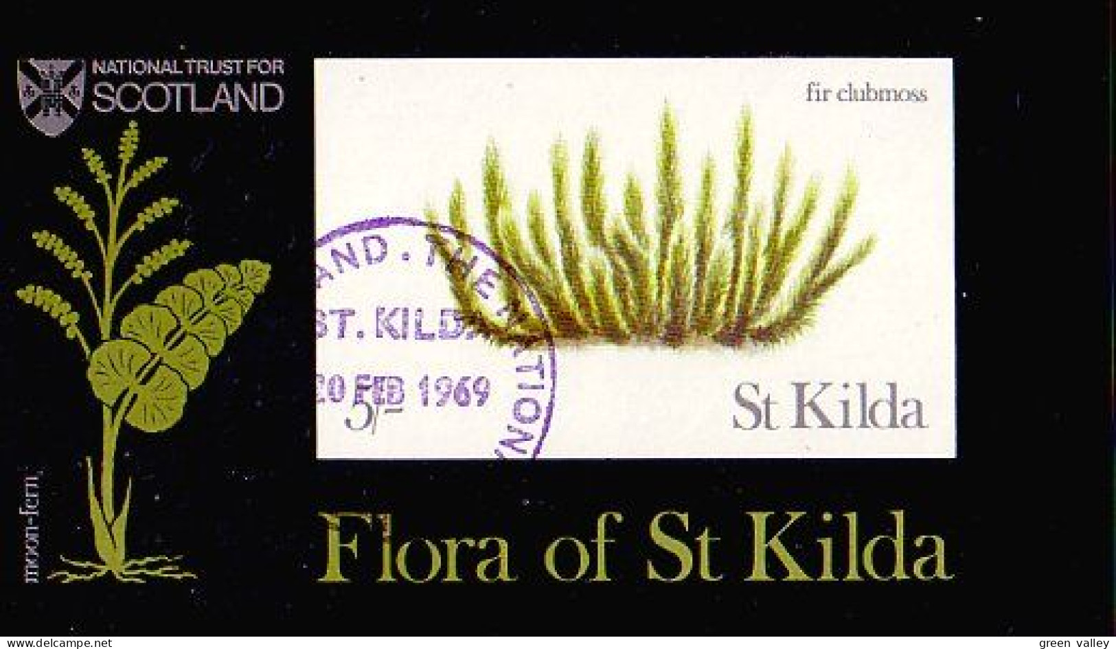 St Kilda Scotland Fleur Flower (A51-223b) - Ortsausgaben