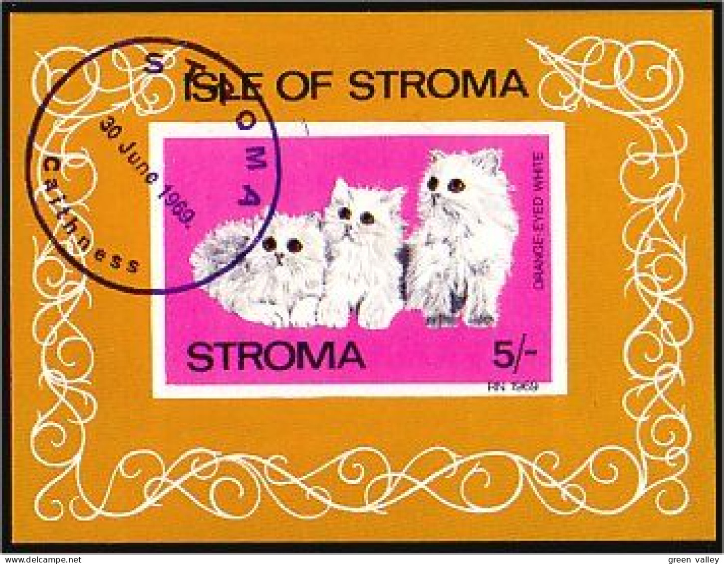 Stroma Chats Cats (A51-214b) - Local Issues