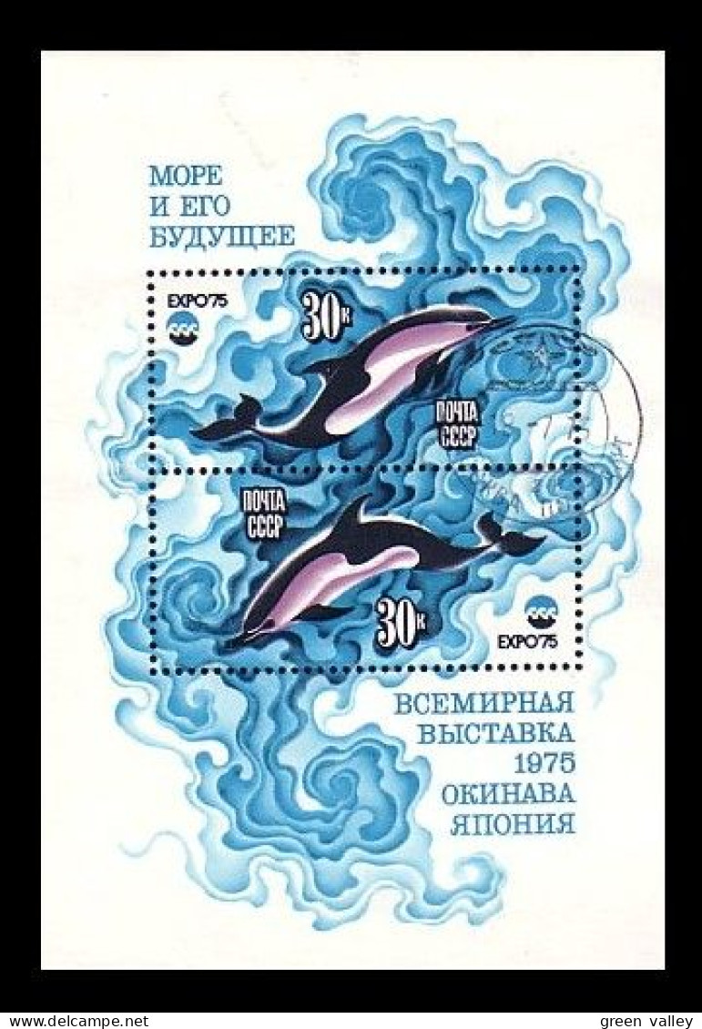 Russie Dauphins Dolphins (A51-33a) - Dolfijnen