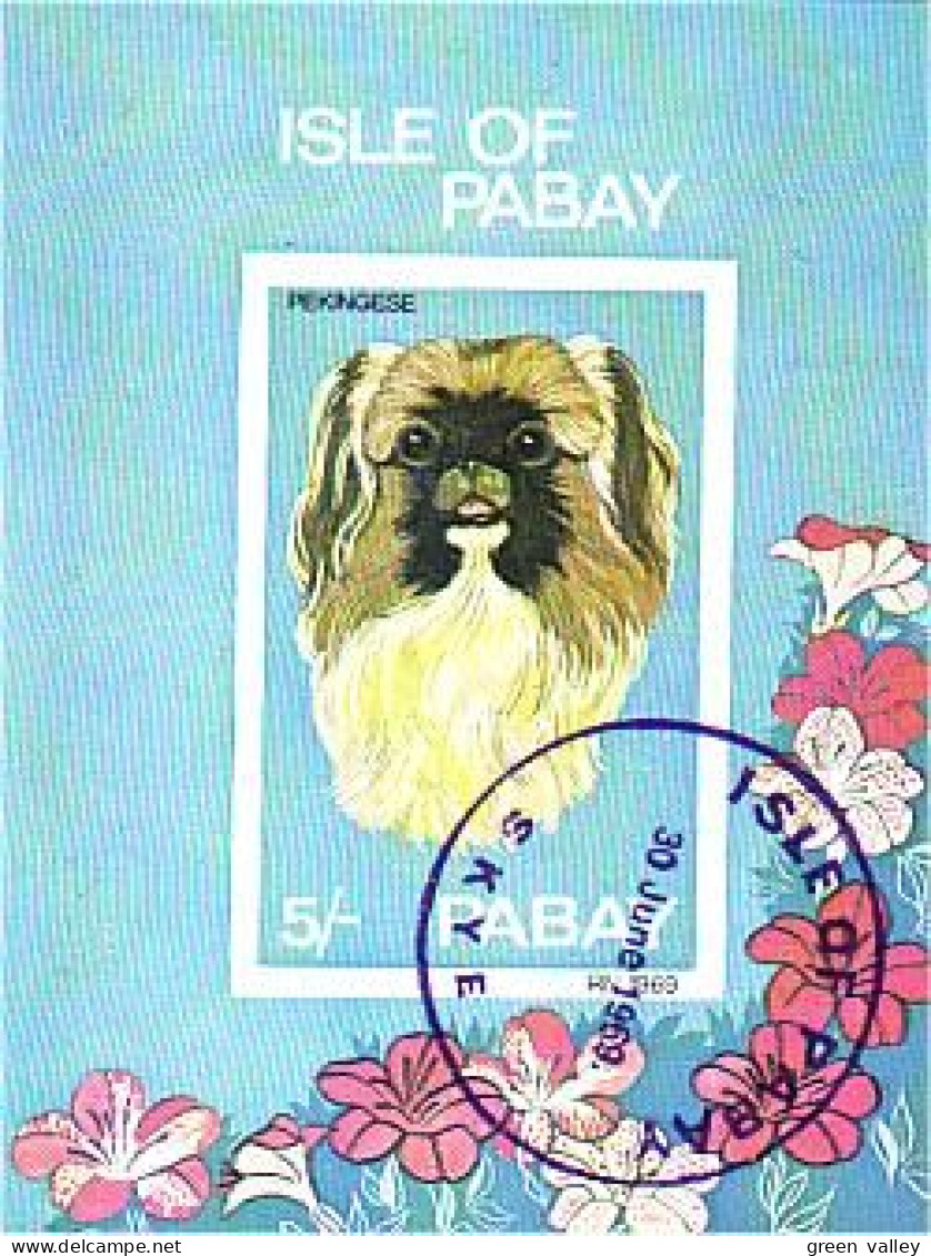 Pabay Chien Pekinois Pekingese Dog (A51-706b) - Local Issues