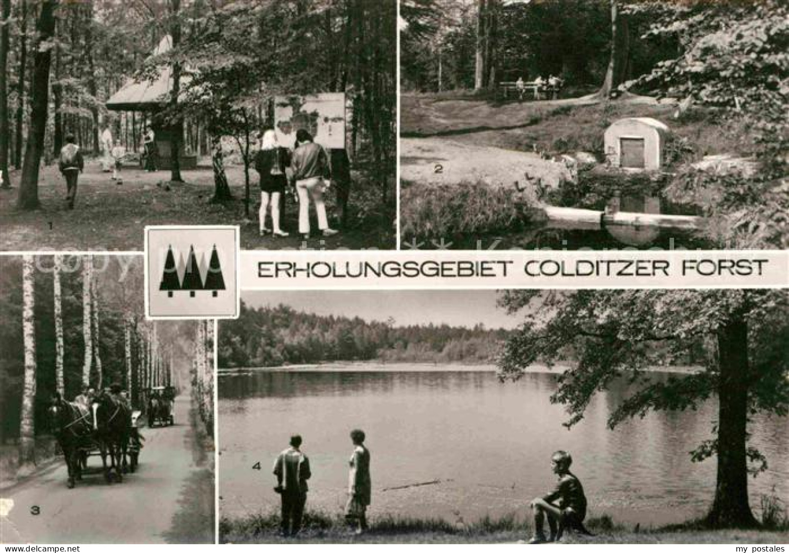 72829813 Colditz Erholungsgebiet Colditzer Forst  Colditz - Colditz
