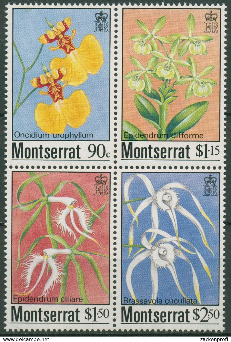 Montserrat 1985 Pflanzen Blumen Orchideen 568/71 ZD Postfrisch - Montserrat